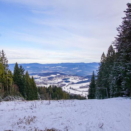 סנקט אנגלמר Charmante Ferienwohnung Mit Sauna Und Schwimmbad Im Zauberhaften Bayerischen Wald מראה חיצוני תמונה